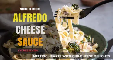 Creative Uses for Alfredo Cheese Sauce