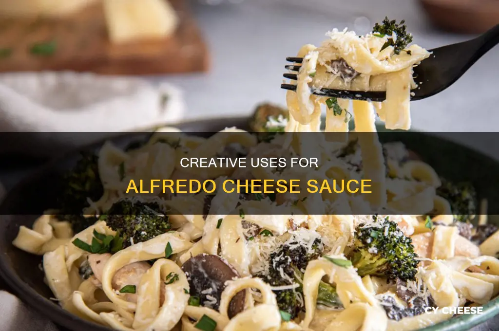 where to use the alfredo cheese sauce