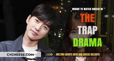 Cheese in the Trap Drama: Top Streaming Platforms to Watch Now