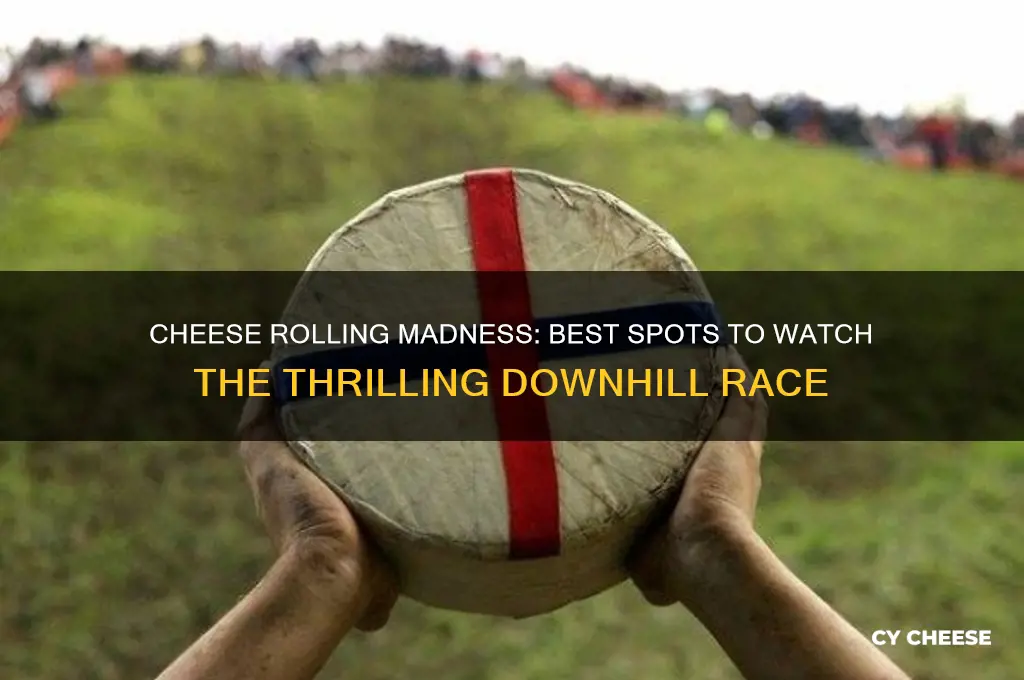 where to watch people race down a hill for cheese