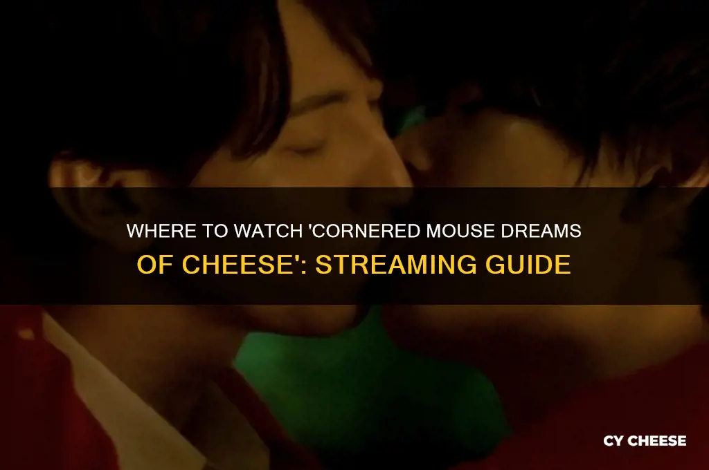 where to watch the cornered mouse dreams of cheese