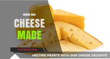 The Origins of Cheese: A Global Journey