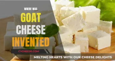 Goat Cheese Origins: Ancient Delicacy, Modern Favorite