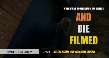 Goosebumps Say Cheese and Die Filming Location Revealed: Where Was It Shot?