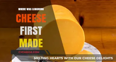 The Origins of Longhorn Cheese: A Historical Journey