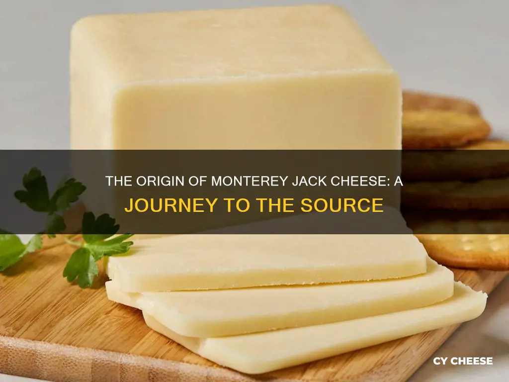 where was montery jck cheese made