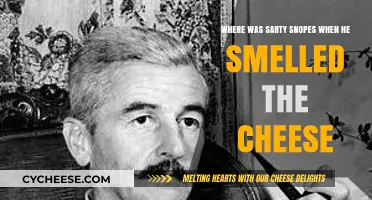 Sarty Snopes and the Cheese: Unraveling His Location in Faulkner's Tale