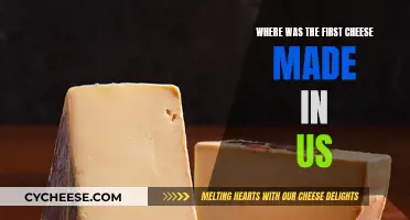 Cheese's American Origin: Where the US Made the First