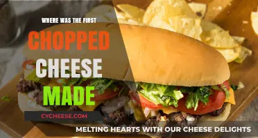 Chopped Cheese Origin: New York's Iconic Street Food