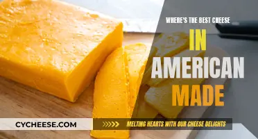 The Best American Cheese: A Tasty Tour