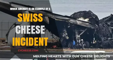 Swiss Cheese Model: Aircraft Incident Analysis
