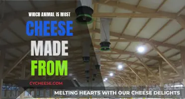 The Cheesy Truth: Which Animal's Milk Makes Most Cheese?