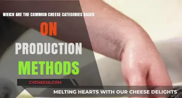 Exploring Cheese Categories: Production Methods That Define Common Varieties