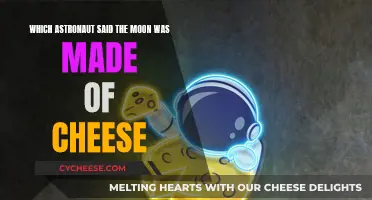 Who Said the Moon Was Made of Cheese?