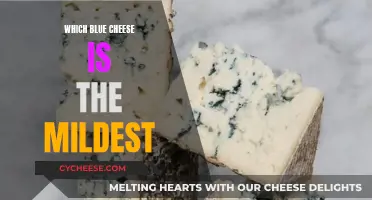 Discovering the Mildest Blue Cheeses: A Beginner's Guide