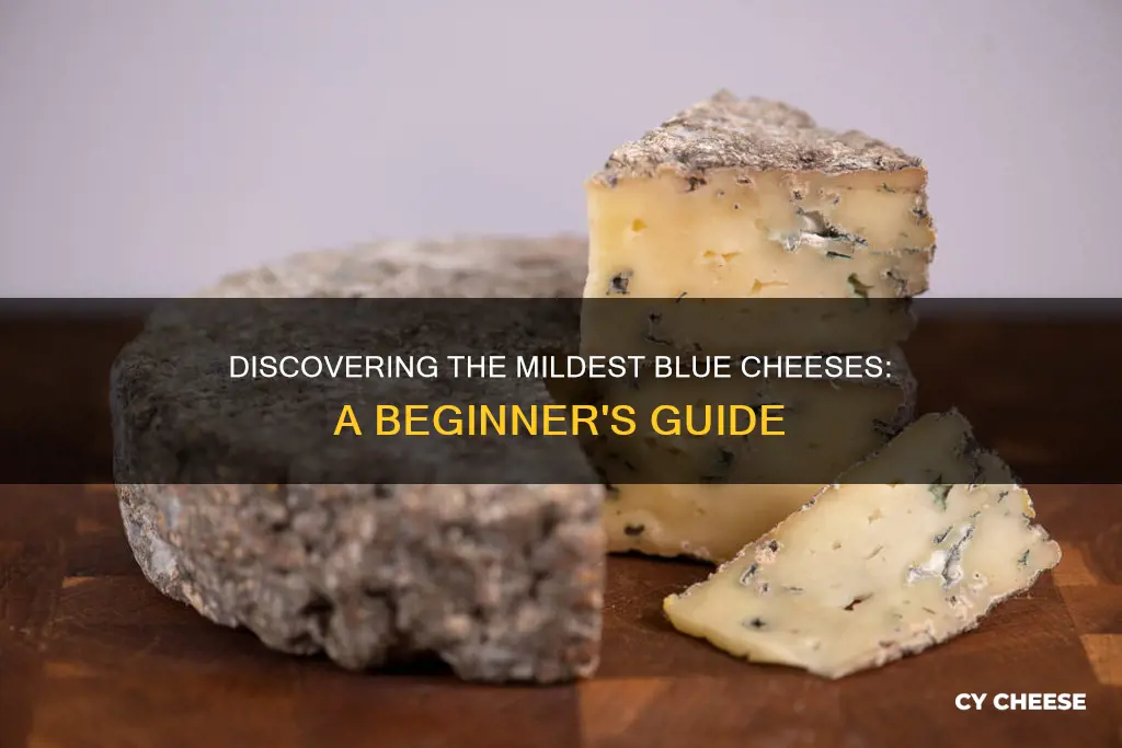 which blue cheese is the mildest