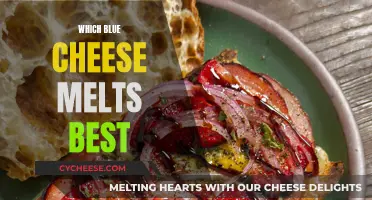 Best Blue Cheeses for Melting: Top Picks and Tips