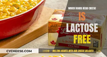 Best Lactose-Free Boar's Head Cheeses for You