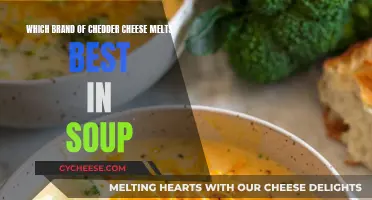 The Ultimate Cheddar Cheese for Soup: A Tasty Test