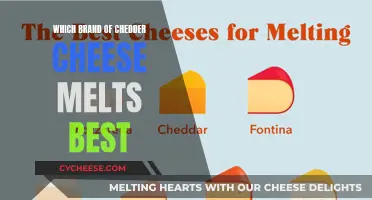 The Ultimate Cheddar Cheese Melt: Brand Showdown