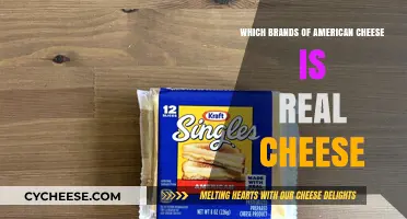 Real American Cheese: Which Brands Are Truly Authentic?