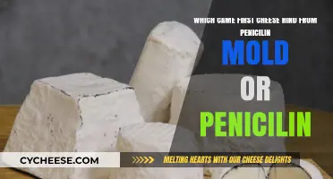 Cheese Rind Mold or Penicillin: Unraveling the Ancient Discovery