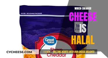 Exploring Halal Cheddar: A Guide to the Best Options