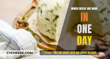 Quick Cheeses: One-Day Wonders for Your Taste Buds