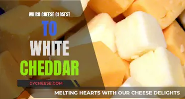 Exploring the Best White Cheddar Alternatives: A Tasty Adventure