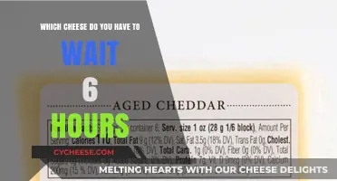 Cheese Aging Mystery: Unveiling the 6-Hour Wait Cheese