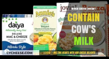 Dairy-Free Cheese Options: Exploring Cow's Milk Alternatives for Cheese Lovers