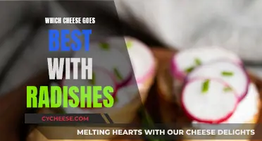 Cheese and Radishes: The Perfect Pairing for Your Palate