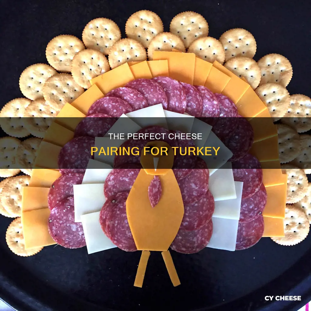 which cheese goes best with turkey