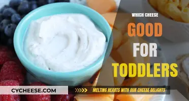 Best Toddler-Friendly Cheeses: Nutritious and Delicious Options for Little Ones