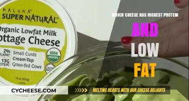 High-Protein, Low-Fat Cheese Options for a Healthy Diet