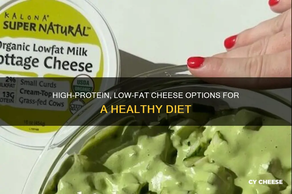 which cheese has highest protein and low fat