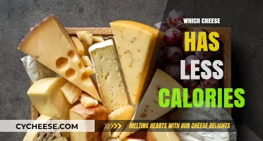 Cheese and Calories: Smart Swaps for Healthier Indulgence