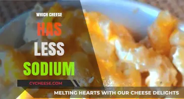 Low-Sodium Cheese Options: Healthier Choices for Your Diet