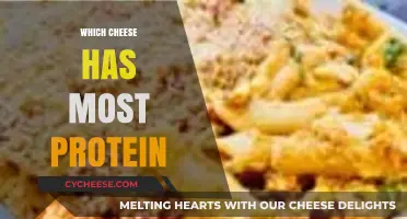 Top Protein-Packed Cheeses: Discover the Highest Protein Cheese Varieties