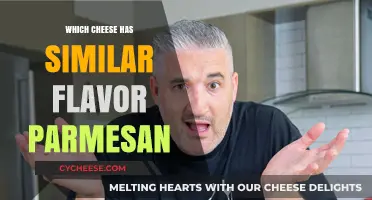 Cheeses with Similar Flavors to Parmesan