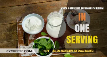 Cheese with the Highest Calcium Punch
