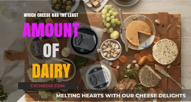 Low-Dairy Cheese Options: Discover the Least Dairy-Rich Varieties