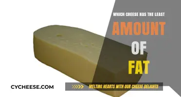 Low-Fat Cheese Options: Discover the Healthiest Choices for Your Diet