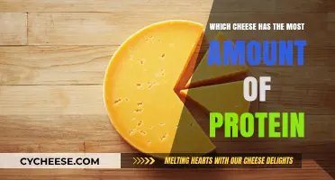Top Protein-Packed Cheeses: Discover the Highest Protein Cheese Varieties
