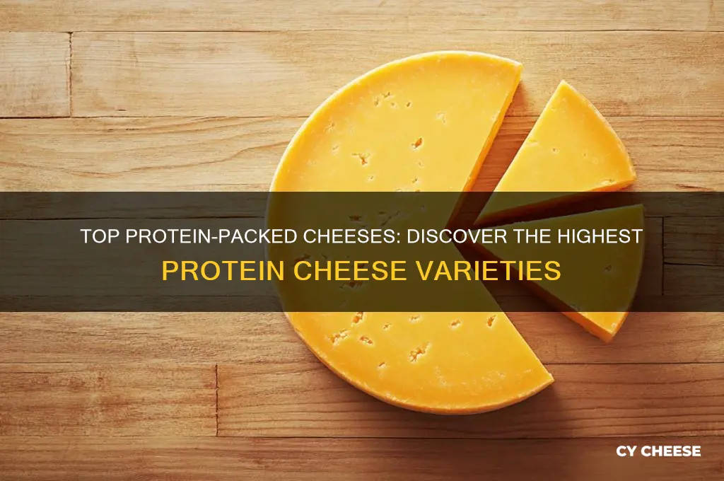which cheese has the most amount of protein