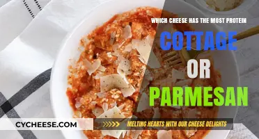Cottage vs. Parmesan: Which Cheese Packs More Protein?