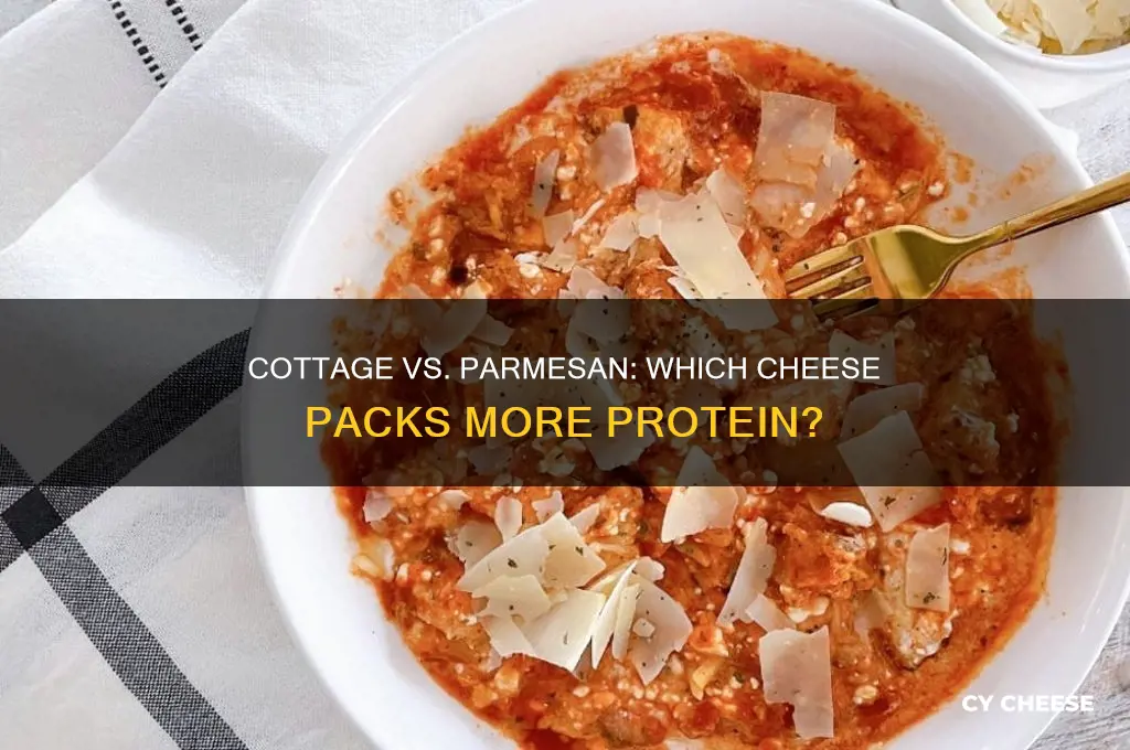 which cheese has the most protein cottage or parmesan