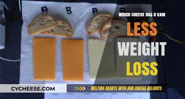 Cheese and Weight Loss: Which Varieties Support Your Diet Goals?