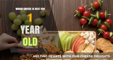 Best Cheeses for Toddlers: Safe and Nutritious Options