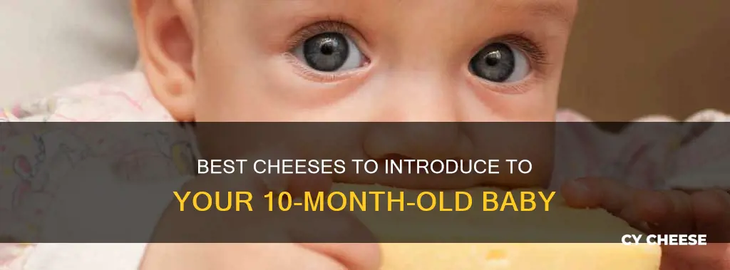 which cheese is best for 10 month old baby